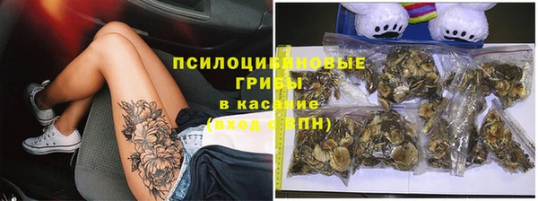 скорость Алзамай
